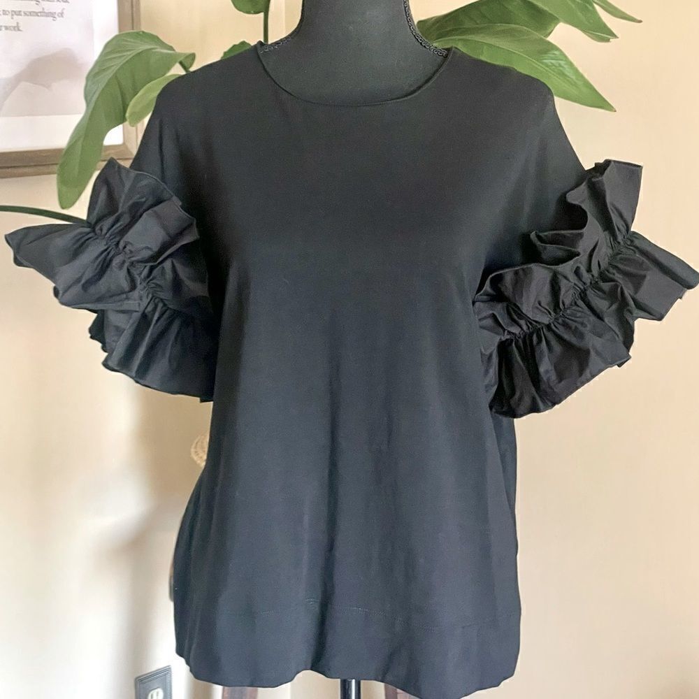 𝅺Drew Black Ruffle Sleeve Top